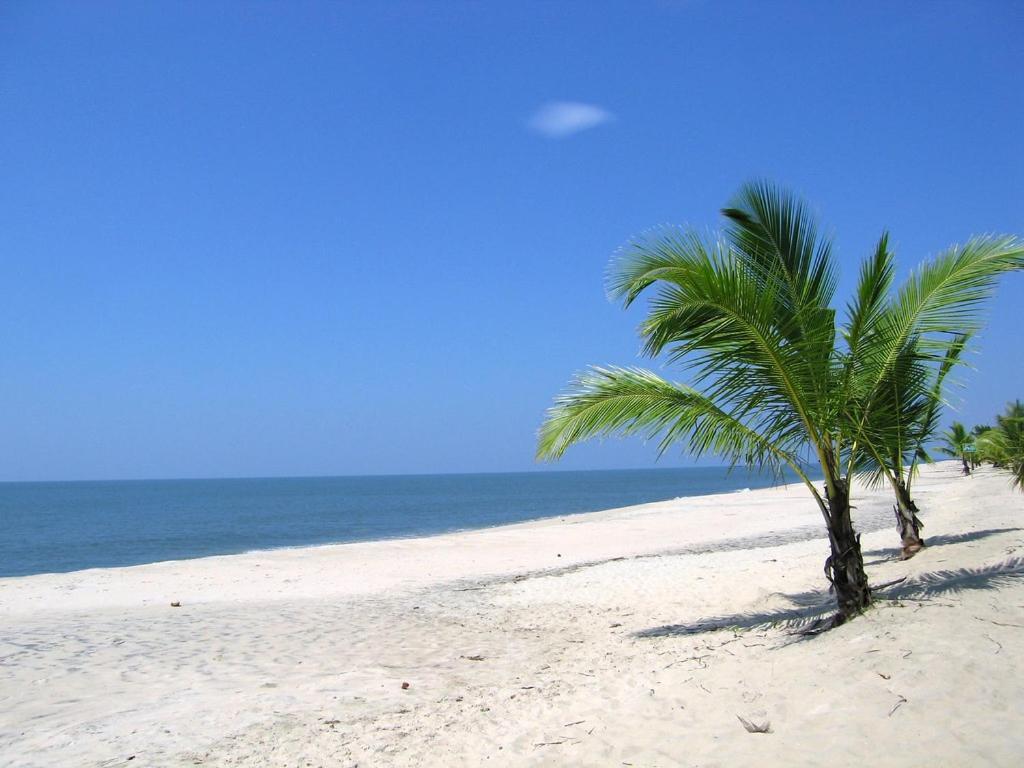 Marari Felix Beach Homestay Mararikulam Buitenkant foto